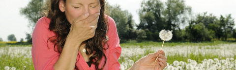 allergy_banner.jpg